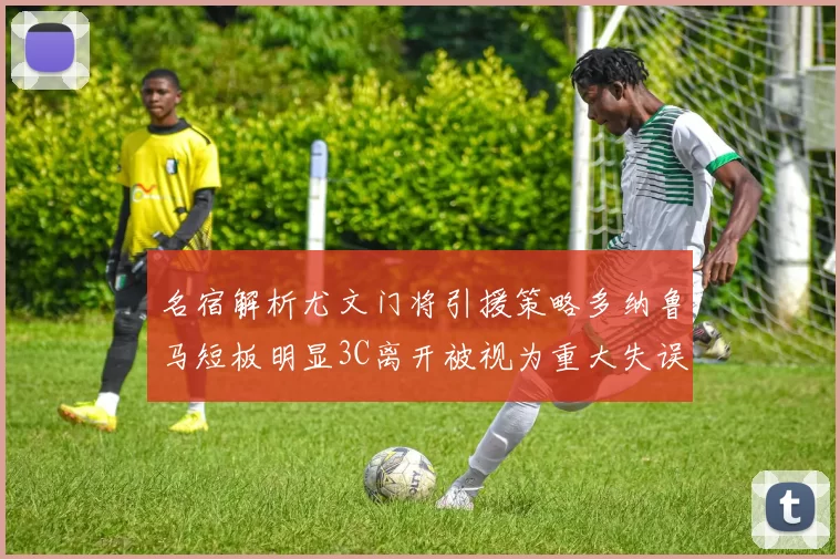 名宿解析尤文门将引援策略多纳鲁马短板明显3C离开被视为重大失误